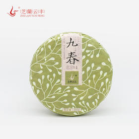 九春 2020年云南普洱生茶