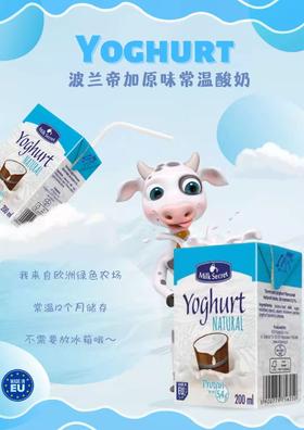 Yoghurt波兰帝加原味常温酸奶