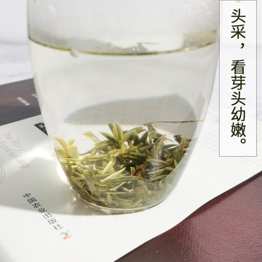 蒙顶甘露25克 蒙山顶上茶 2026年蒙顶高山头采 商品图4