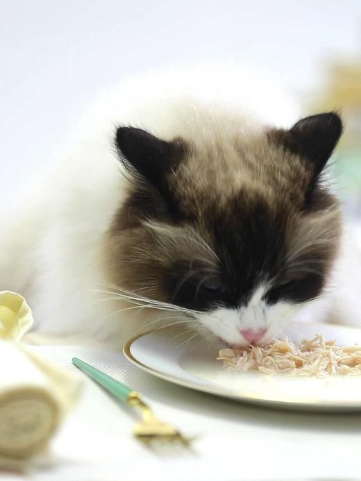 喵达 吞拿鱼系列 猫咪零食罐头 白肉汤罐 营养增肥 猫咪湿粮 80g 商品图2