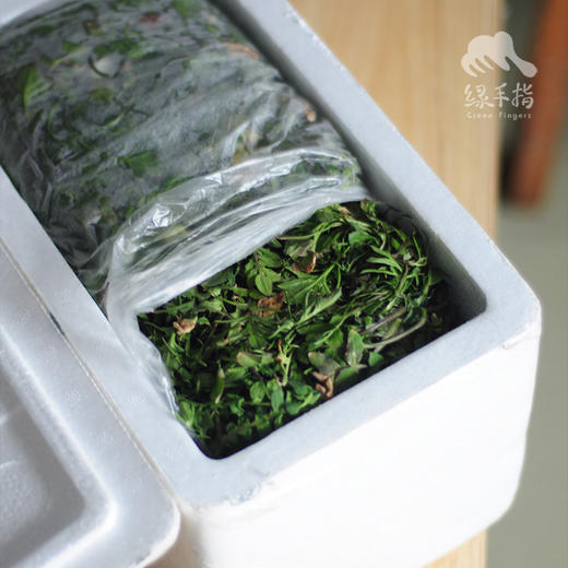 野生白鹿原荠菜 | 合作生产 *  Wild-Shepherd's purse | Coproduction 商品图3