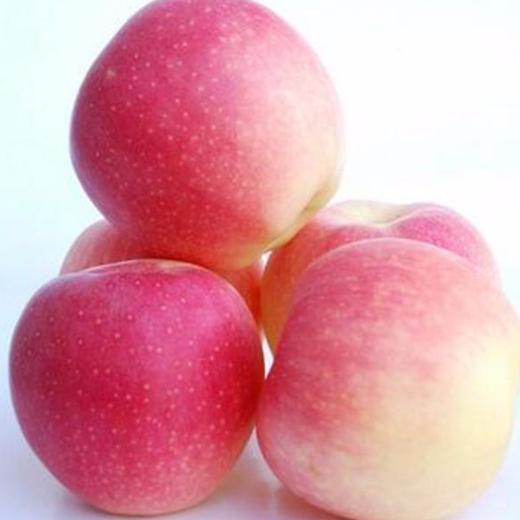 【山东红富士苹果】甜蜜多汁 果香浓郁 皮薄肉厚 4.5斤装 商品图4
