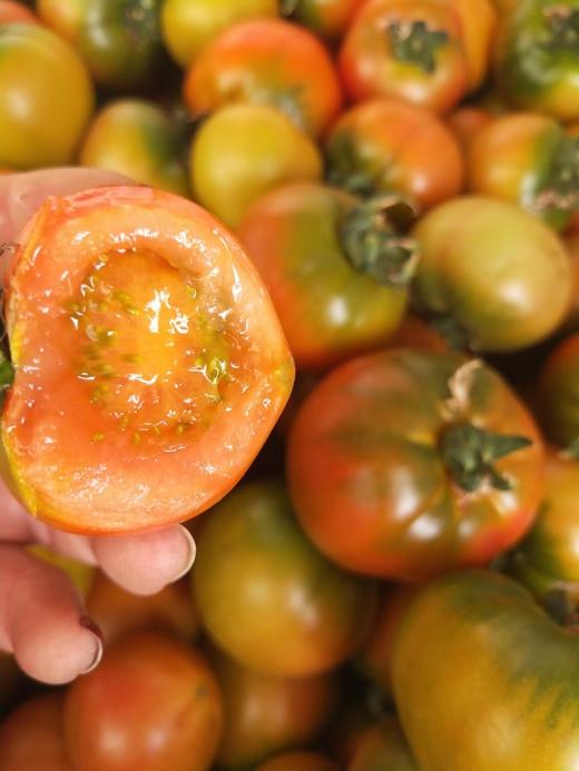 黄筋西红柿/黛安娜西红柿 商品图0