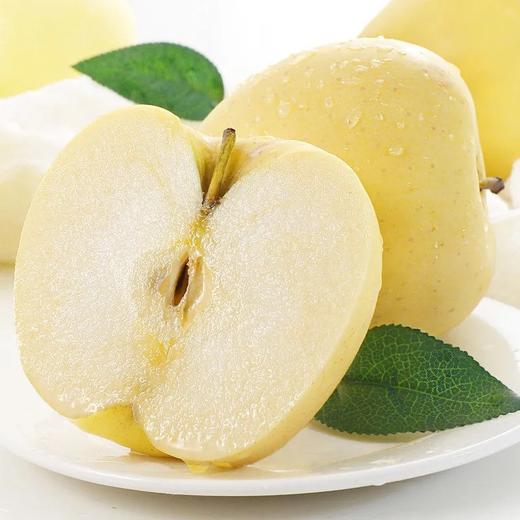 臻爱佳人·维纳斯黄金苹果|口感芳香，果品优质，脆甜多汁|果肉纯甜无酸，脆蜜多汁 商品图3