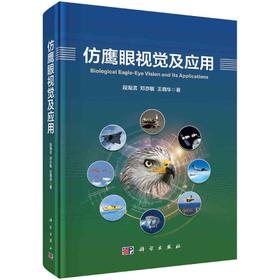 仿鹰眼视觉及应用/段海滨 邓亦敏 王晓华