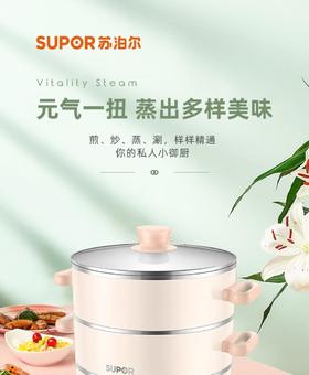 苏泊尔26YK18多功能电蒸锅