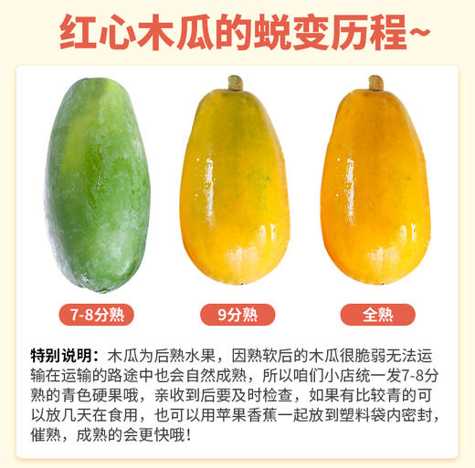 【广西·南宁】 牛奶红心木瓜 热带水果 冰糖木瓜 商品图2