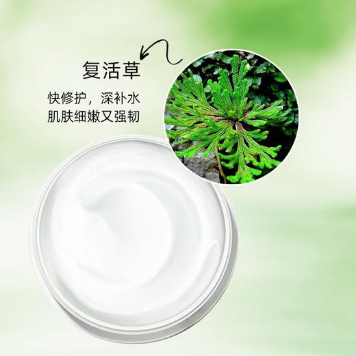 欧诱复活草水润睡眠面膜 保湿滋润免洗补水面膜 护肤品复活草面膜【买二送一】 商品图2