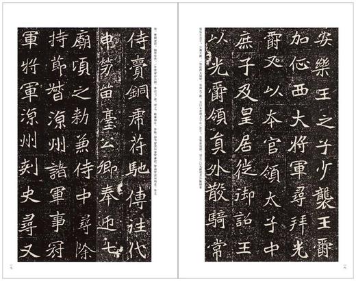 金石拓本典藏 六朝墓志菁英 金石 罗振玉 六朝墓志 碑帖 图版高清 精印 配释文 商品图7