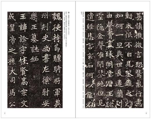 金石拓本典藏 六朝墓志菁英 金石 罗振玉 六朝墓志 碑帖 图版高清 精印 配释文 商品图6