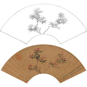 工笔画白描底稿 花鸟扇面小品 明 陆治 花卉图  调  SR13
