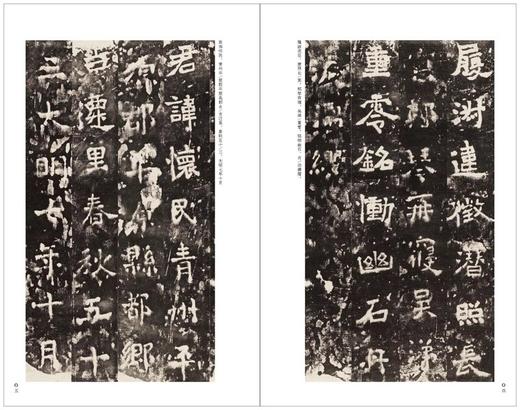 金石拓本典藏 六朝墓志菁英 金石 罗振玉 六朝墓志 碑帖 图版高清 精印 配释文 商品图4