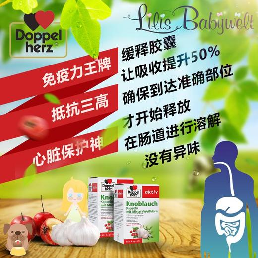 德国双心Doppelherz大蒜精山楂提取物软胶囊480粒（偏远地区不包邮，详情请咨询店长） 商品图3