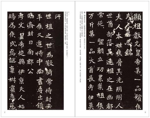 金石拓本典藏 六朝墓志菁英二编 金石  罗振玉 六朝墓志 碑帖 图版高清 精印 配释文 商品图7