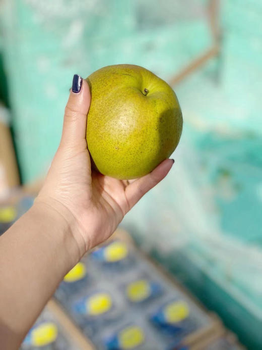 玉露香梨🍐🍐目前少有的好鲜梨，皮薄肉厚水份足，清甜水嫩，好吃[色][色] 商品图3