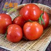 东升农场 大番茄 西红柿  500g 商品缩略图2