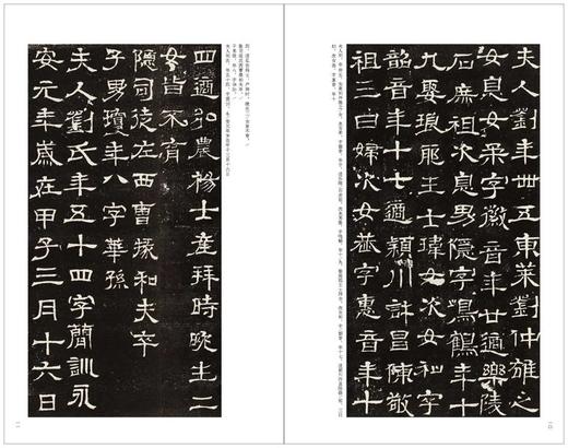 金石拓本典藏 六朝墓志菁英二编 金石  罗振玉 六朝墓志 碑帖 图版高清 精印 配释文 商品图5