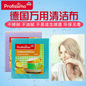 德国dmprofissimo厨房百洁布万用清洁布洗碗布去油污抹布1包5片（新老包装随机发货）