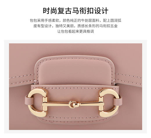 【品牌授权 全国联保】SADI/萨迪 复古马衔扣马鞍包女士单肩斜跨包SD6070 商品图7