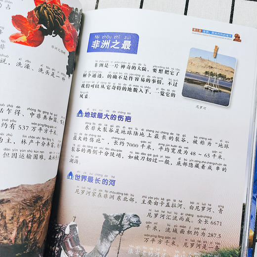 少儿百科全书1全10册（彩图拼音精装版） 商品图3