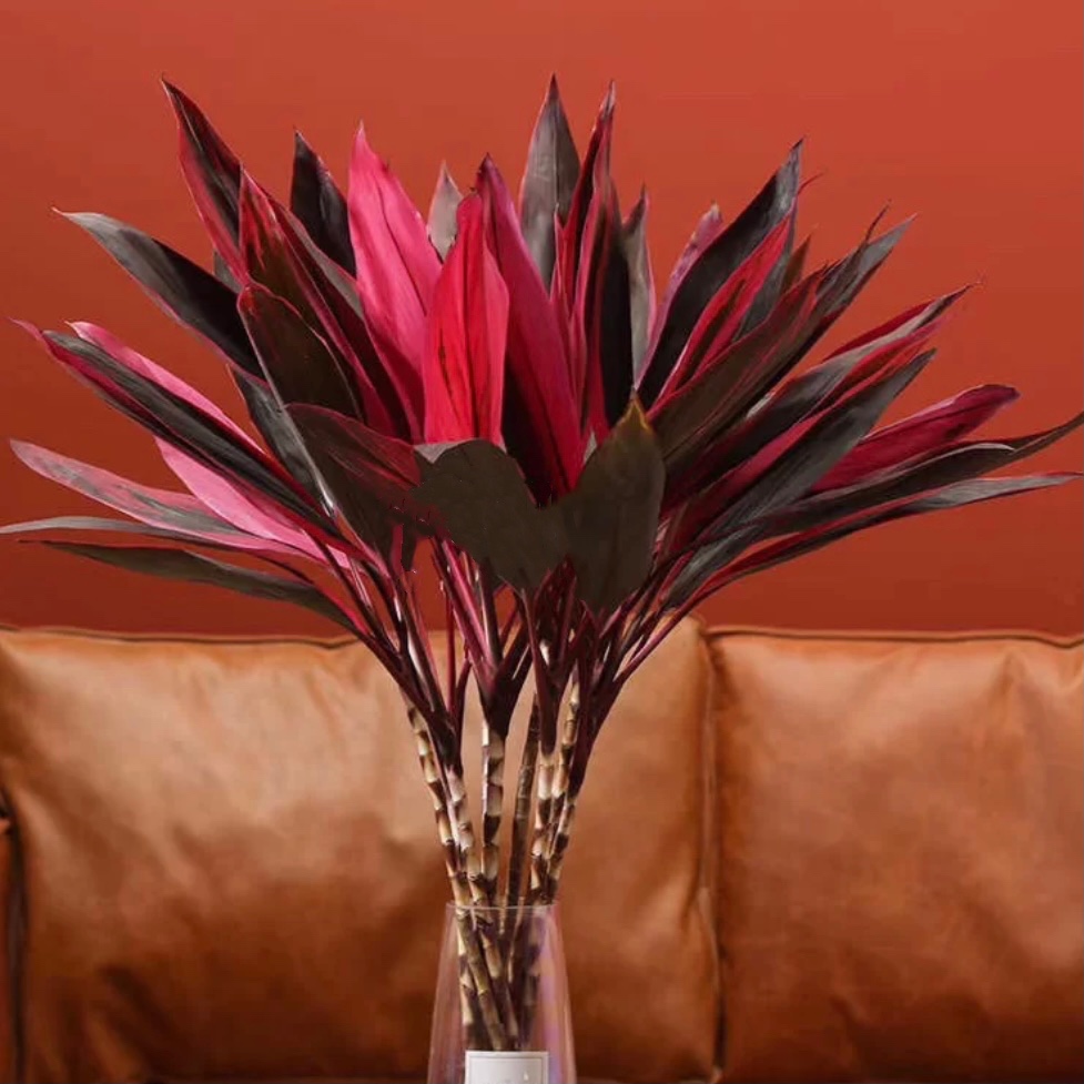 【红红火火红朱焦.第二件减10元】5支/份  长度约70-80cm 只要有水就可以一直养