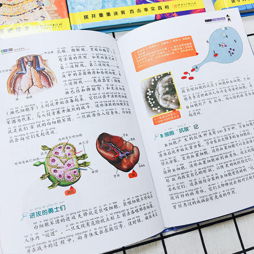 少儿百科全书2全10册（彩图拼音精装版） 商品图3