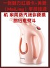 一张魅力红酒卡+美菱（MeiLing）手持挂烫机 家用蒸汽迷你便携旅行电熨斗-CG 商品缩略图0