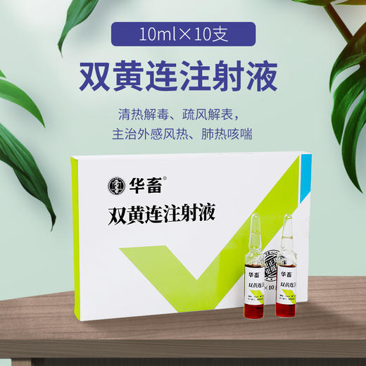 买10送1双黄连注射液清热解毒外感风热肺热咳嗽猪兔牛羊药华畜兽药