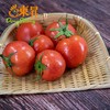 东升农场 大番茄 西红柿  500g 商品缩略图3