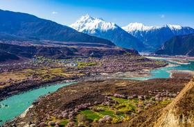 去西藏踏春！一年仅30天的浪漫桃花季来了