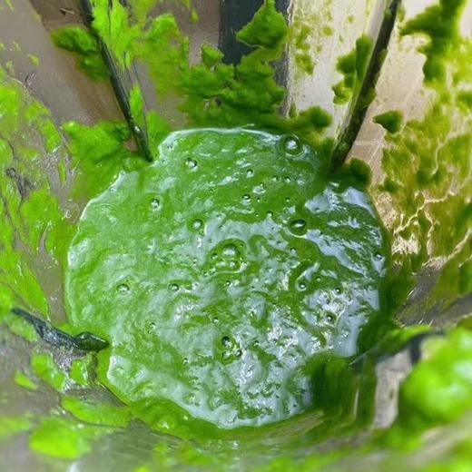 艾草青团 商品图6