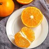 精选沃柑 1500g 商品缩略图3