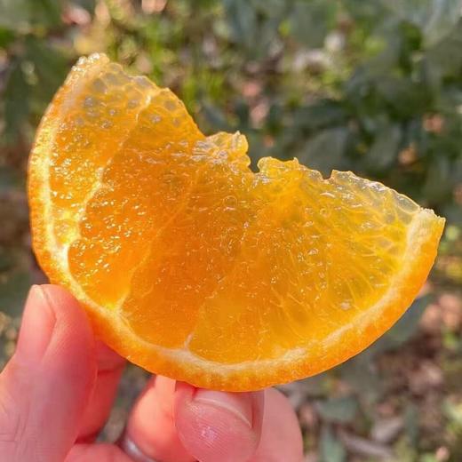 精选沃柑 1500g 商品图4