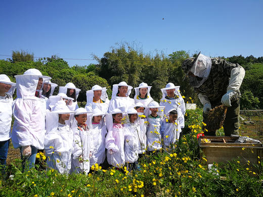 蜜蜂王国奇遇记 探究蜜蜂酿蜜全过程+制作精美琥珀带回家！ 商品图0