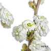 配花 | 重瓣雪柳花 商品缩略图3