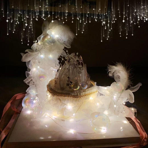 「女士」梦幻月亮船 商品图1