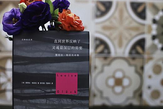 直到世界反映了灵魂最深层的需要 商品图2