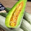 初春头茬 潍坊羊角蜜瓜（家庭装4.5斤-5斤） 商品缩略图0