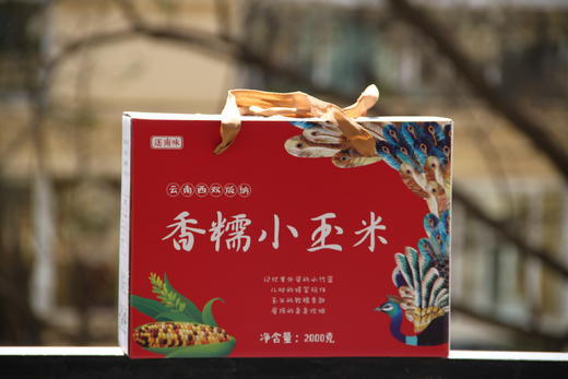版纳香糯玉米 商品图1