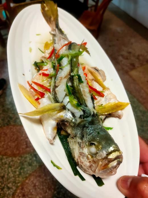 活的黄花鱼，1斤1条 商品图7