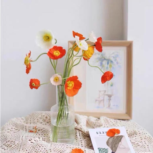 【AB级虞美人】10支/份 颜色随机 长约30-40cm 商品图0