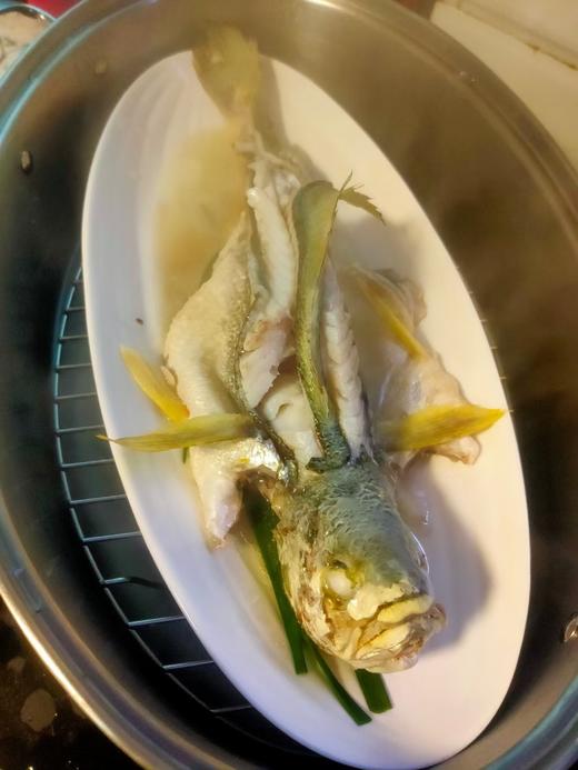 活的黄花鱼，1斤1条 商品图6