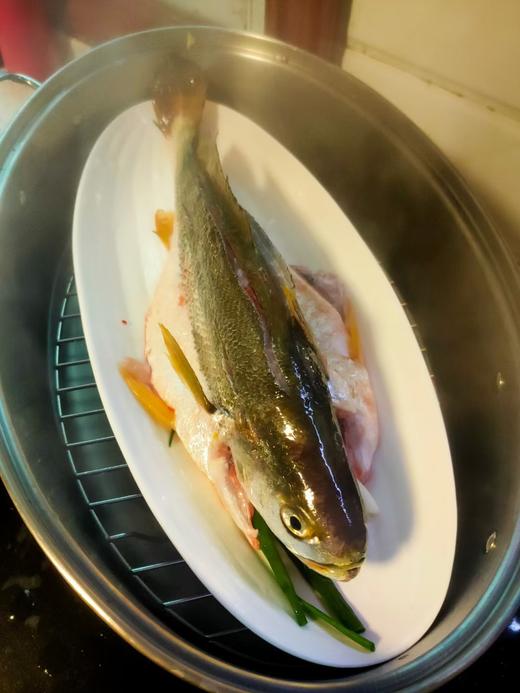 活的黄花鱼，1斤1条 商品图4