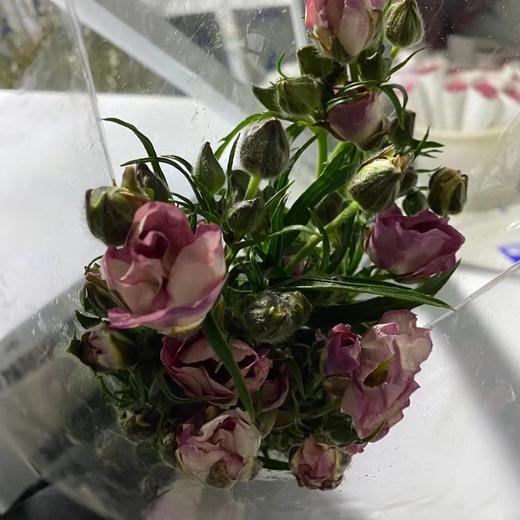 配花 | 蝴蝶洋牡丹紫色 商品图0