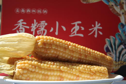 版纳香糯玉米 商品图0