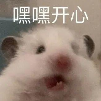 wt-换购主商品 商品图0