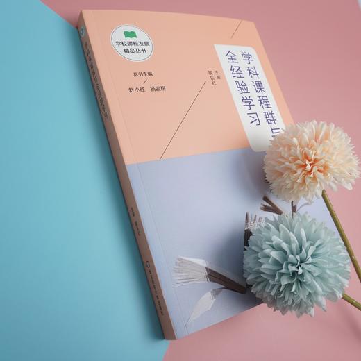 学科课程群与全经验学习 学校课程发展精品丛书 适合教师阅读 正版 华东师范大学出版社 商品图2
