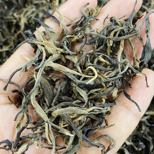 【细叶皇后】2003年稀量头春全芽头纯料，镇店之宝 商品图9