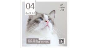 【花丘•心语】