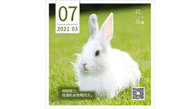 【花丘•心语】